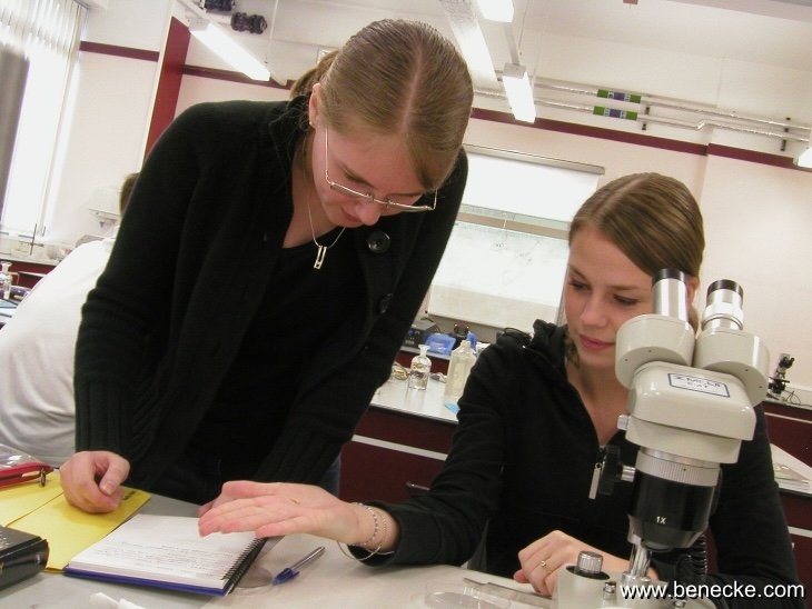 mark_benecke_huddersfield_university_forensic_entomology_trainings - 122.jpeg