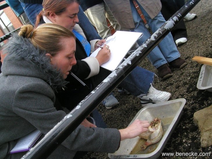 mark_benecke_huddersfield_university_forensic_entomology_trainings - 136.jpeg