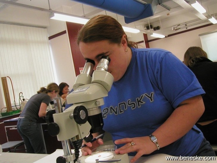 mark_benecke_huddersfield_university_forensic_entomology_trainings - 114.jpeg