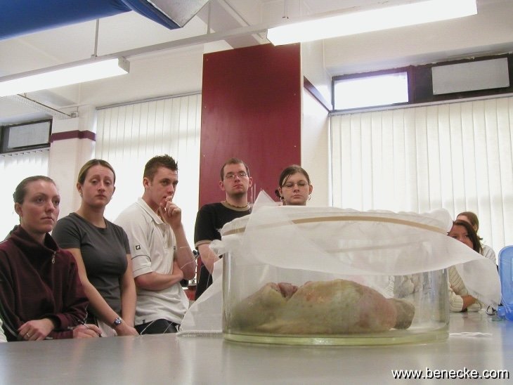 mark_benecke_huddersfield_university_forensic_entomology_trainings - 129.jpeg