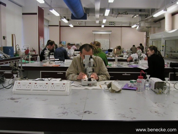 mark_benecke_huddersfield_university_forensic_entomology_trainings - 159.jpeg