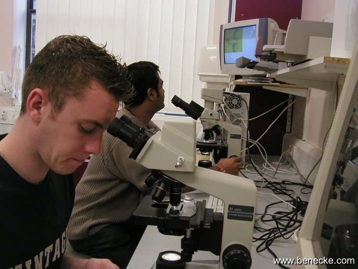mark_benecke_huddersfield_university_forensic_entomology_trainings - 161.jpeg