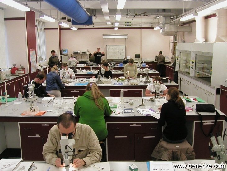 mark_benecke_huddersfield_university_forensic_entomology_trainings - 160.jpeg