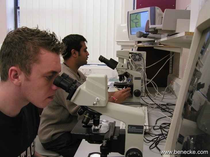 mark_benecke_huddersfield_university_forensic_entomology_trainings - 162.jpeg