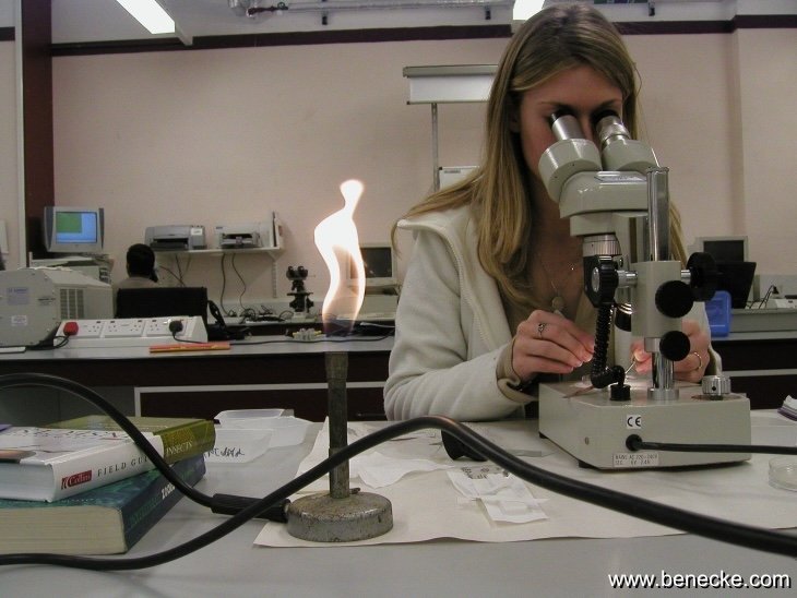 mark_benecke_huddersfield_university_forensic_entomology_trainings - 164.jpeg