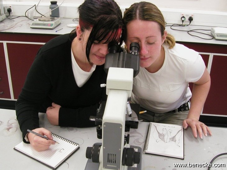 mark_benecke_huddersfield_university_forensic_entomology_trainings - 170.jpeg
