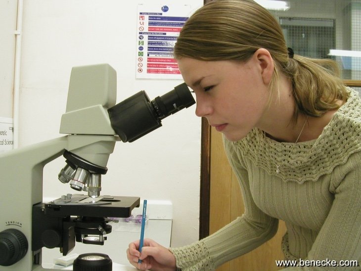 mark_benecke_huddersfield_university_forensic_entomology_trainings - 171.jpeg