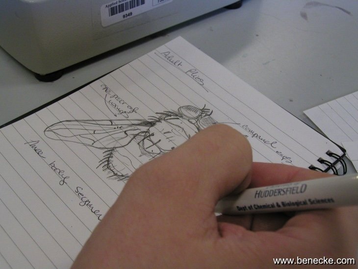mark_benecke_huddersfield_university_forensic_entomology_trainings - 204.jpeg