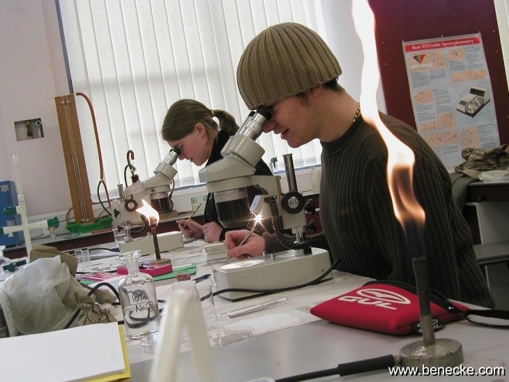 mark_benecke_huddersfield_university_forensic_entomology_trainings - 206.jpeg