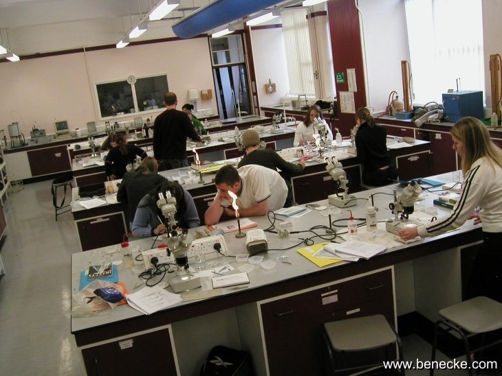 mark_benecke_huddersfield_university_forensic_entomology_trainings - 212.jpeg