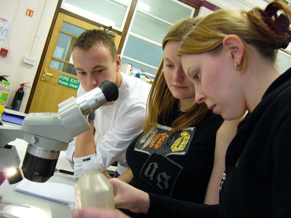 mark_benecke_huddersfield_university_forensic_entomology_trainings - 270.jpeg