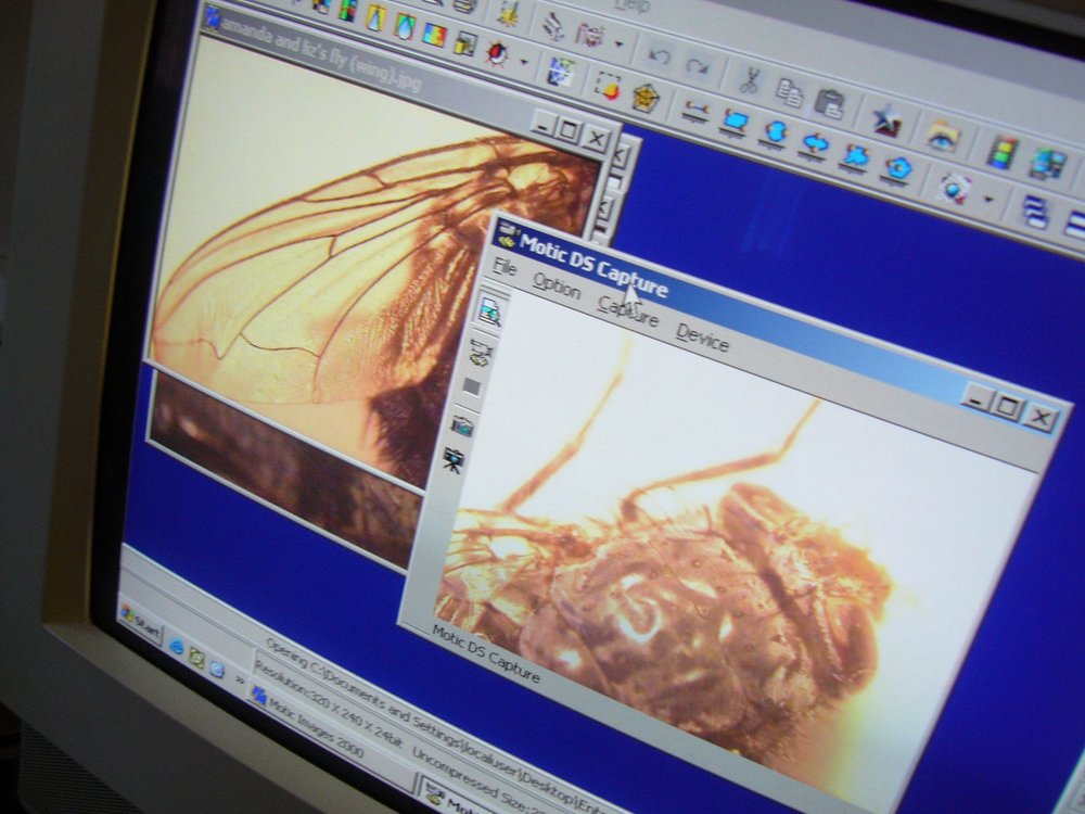 mark_benecke_huddersfield_university_forensic_entomology_trainings - 308.jpeg