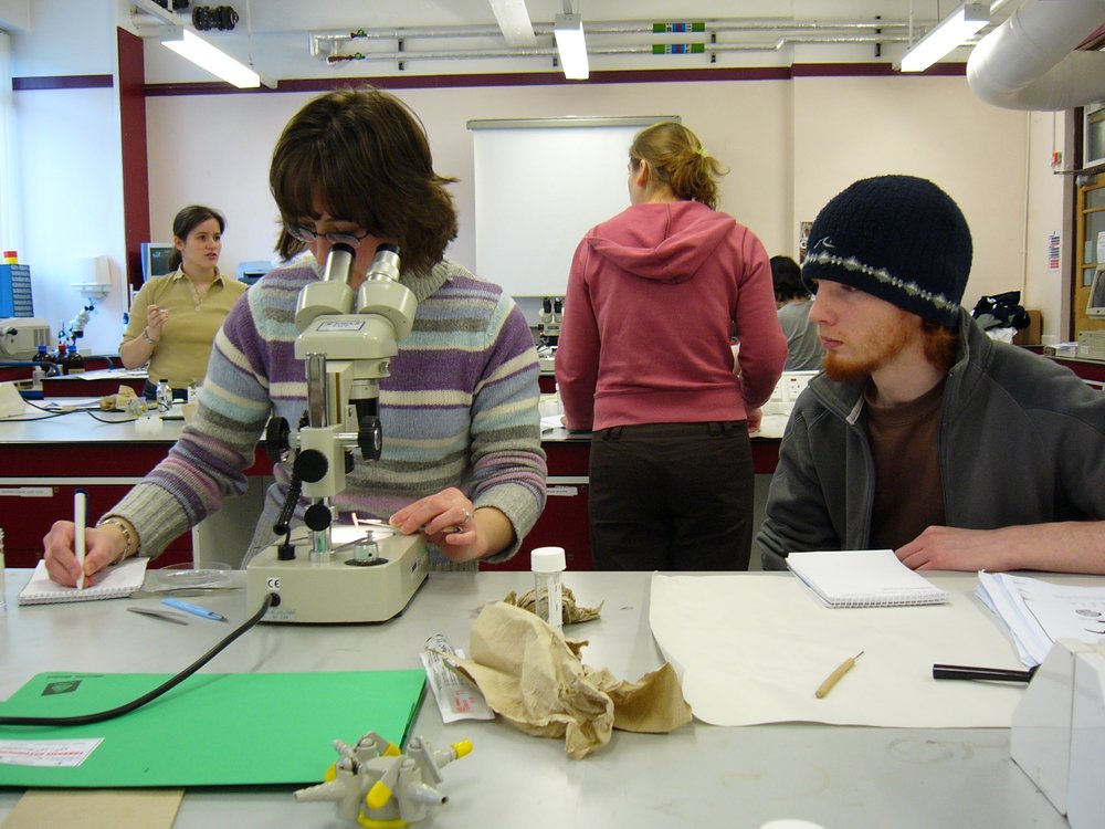 mark_benecke_huddersfield_university_forensic_entomology_trainings - 302.jpeg