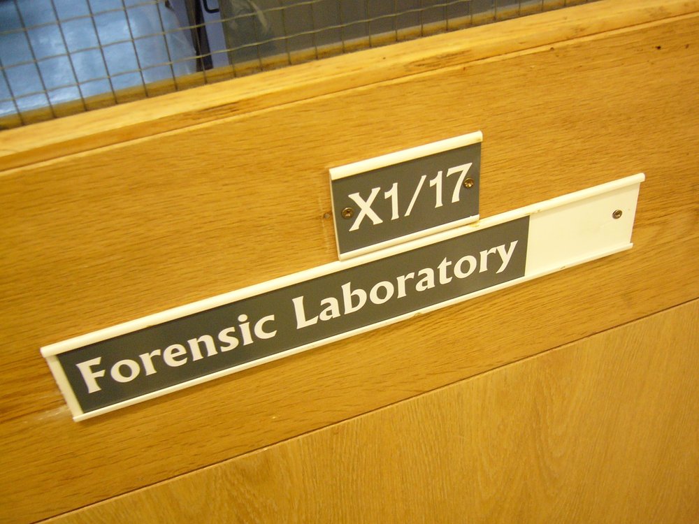 mark_benecke_huddersfield_university_forensic_entomology_trainings - 346.jpeg