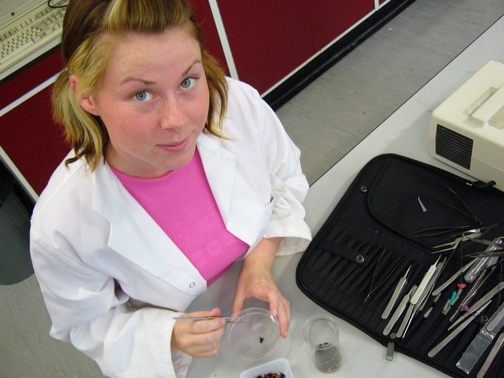 mark_benecke_huddersfield_university_forensic_entomology_trainings - 365.jpeg