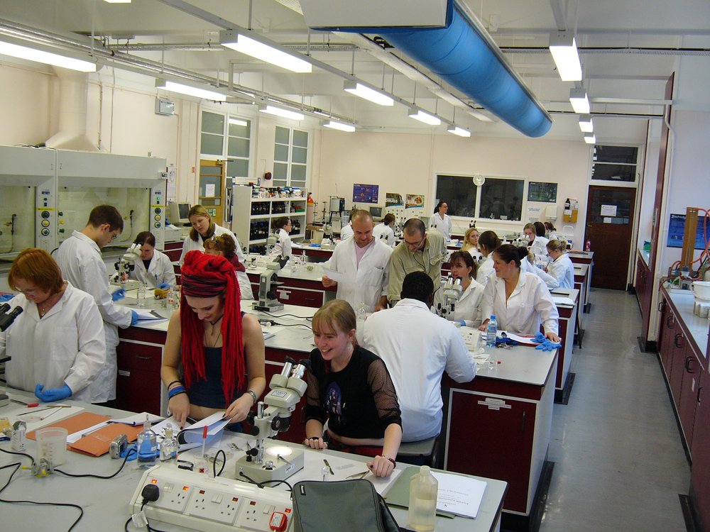 mark_benecke_huddersfield_university_forensic_entomology_trainings - 397.jpeg