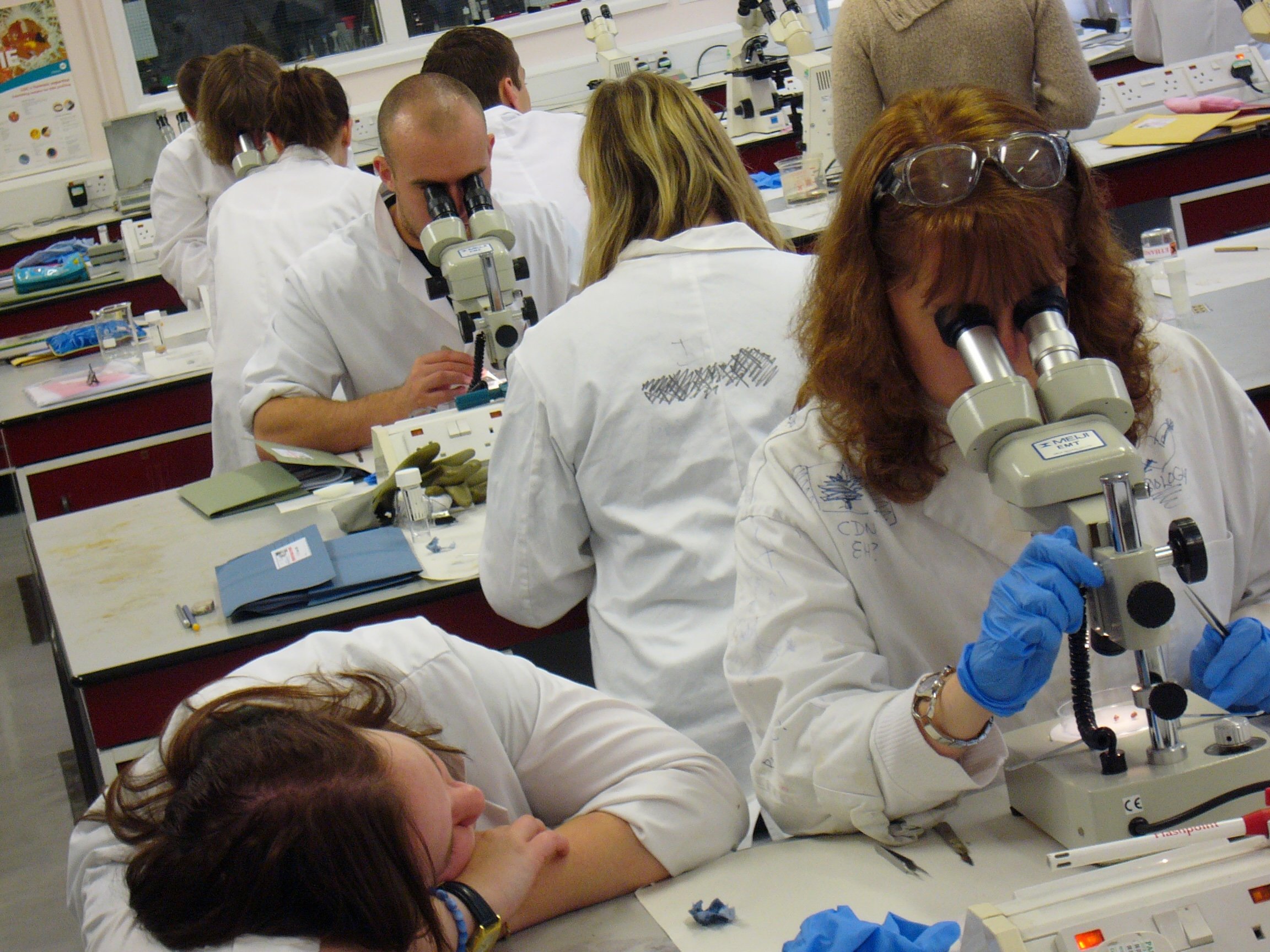 mark_benecke_huddersfield_university_forensic_entomology_trainings - 446.jpeg