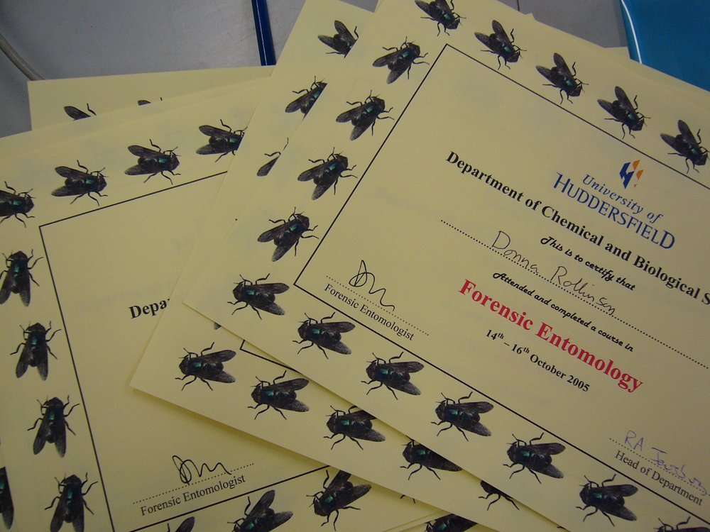 mark_benecke_huddersfield_university_forensic_entomology_trainings - 450.jpeg
