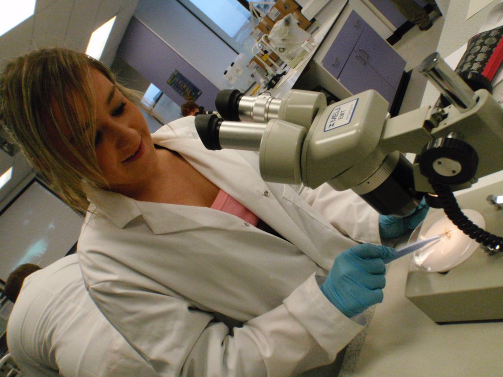 mark_benecke_huddersfield_university_forensic_entomology_trainings - 500.jpeg