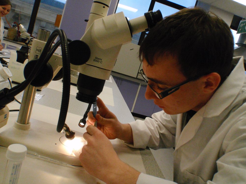 mark_benecke_huddersfield_university_forensic_entomology_trainings - 502.jpeg