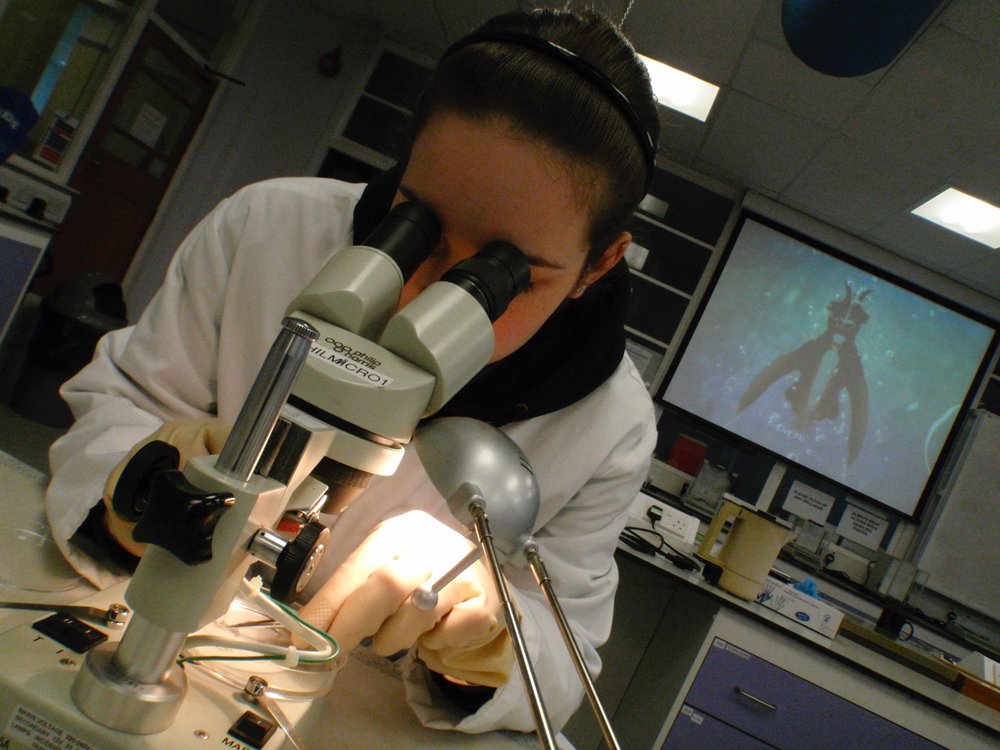 mark_benecke_huddersfield_university_forensic_entomology_trainings - 509.jpeg