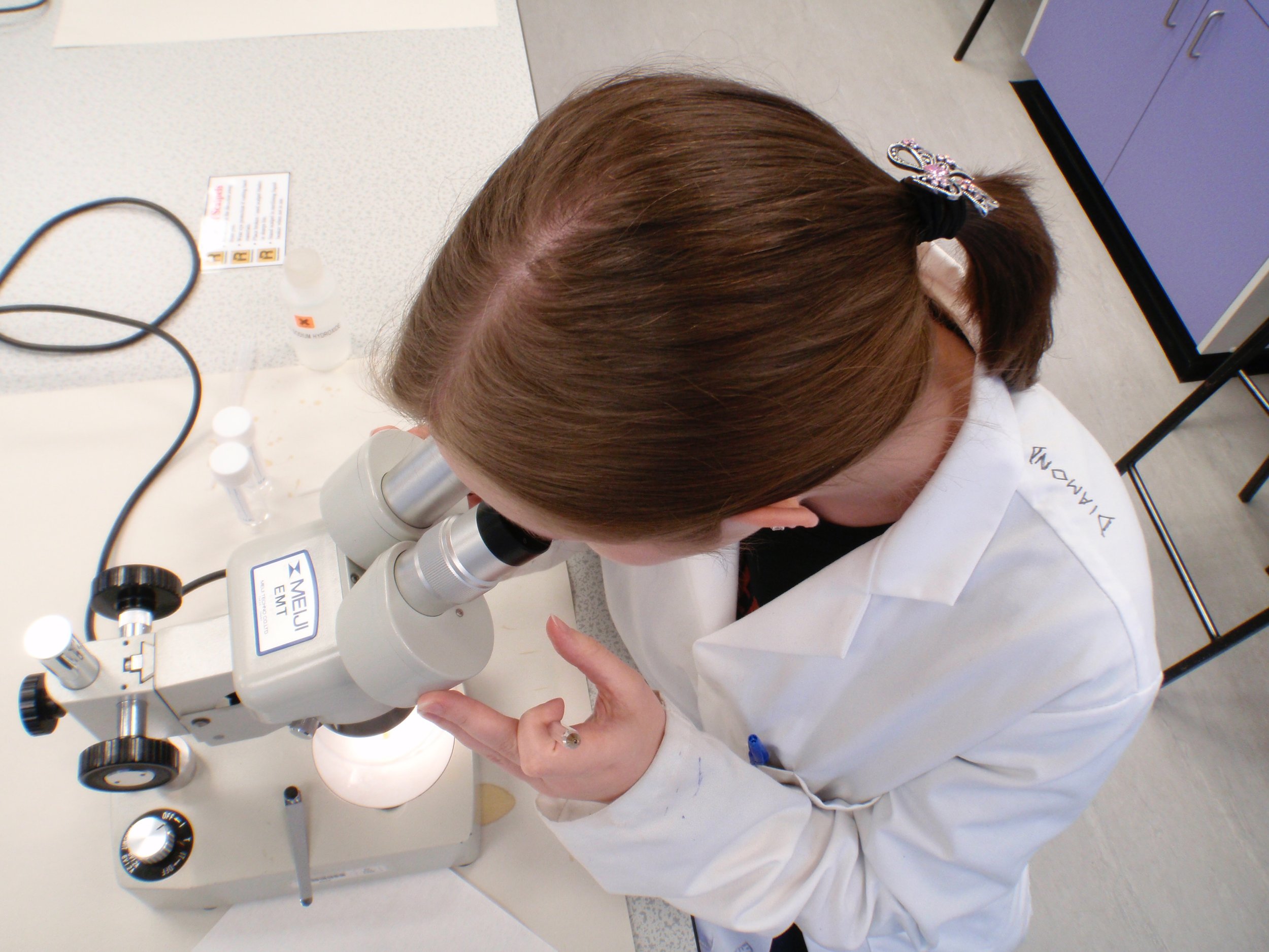 mark_benecke_huddersfield_university_forensic_entomology_trainings - 557.jpeg
