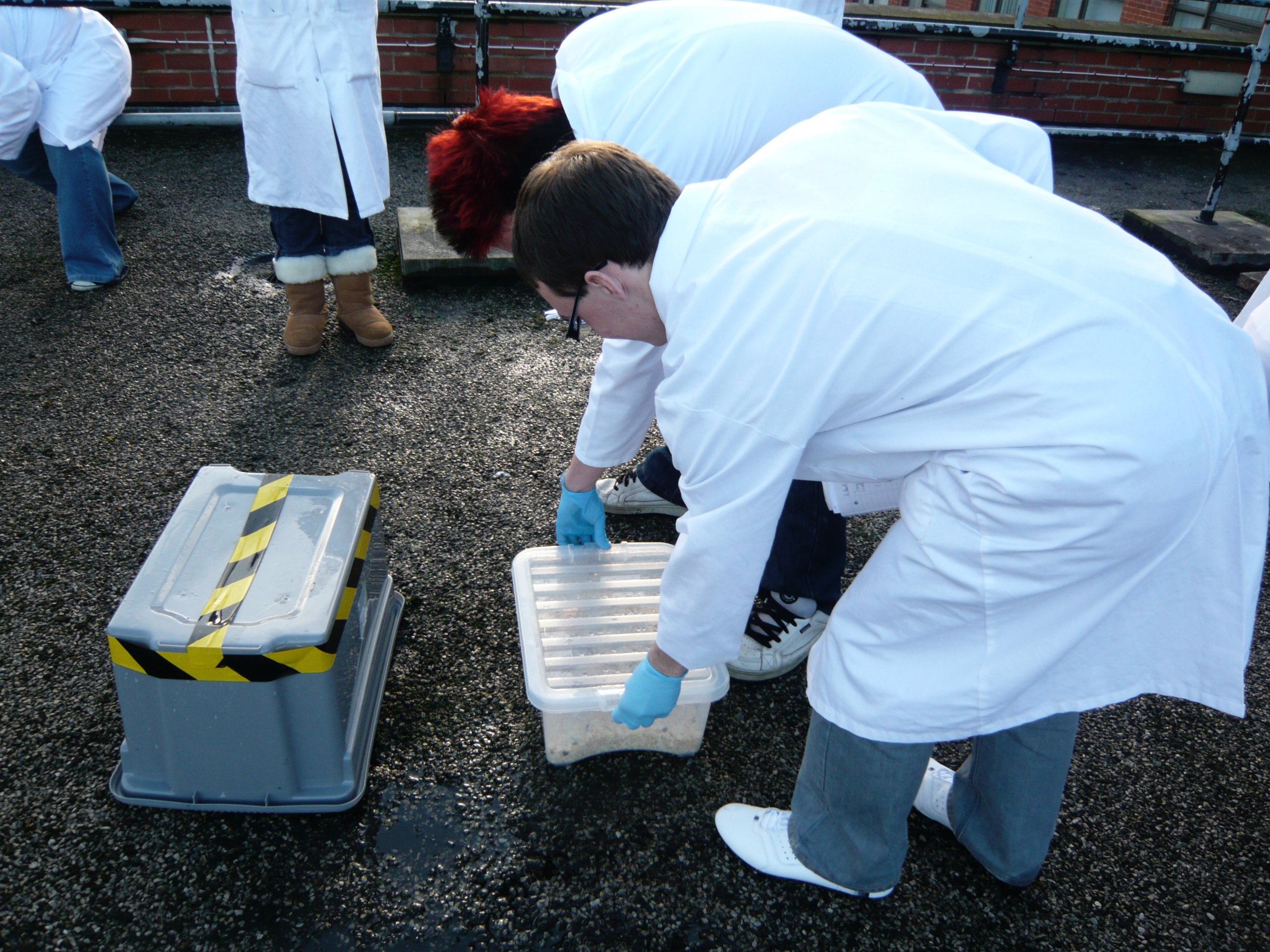mark_benecke_huddersfield_university_forensic_entomology_trainings - 593.jpeg