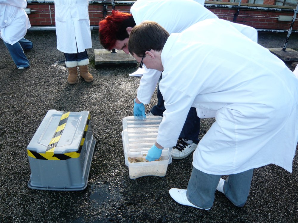 mark_benecke_huddersfield_university_forensic_entomology_trainings - 594.jpeg