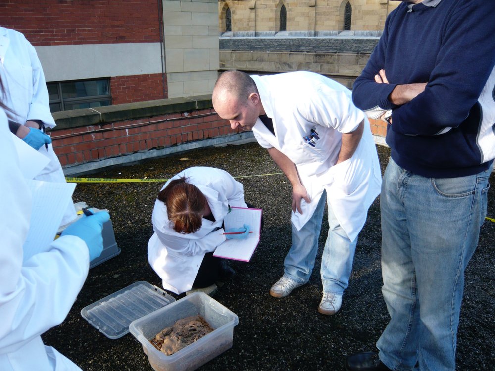mark_benecke_huddersfield_university_forensic_entomology_trainings - 596.jpeg