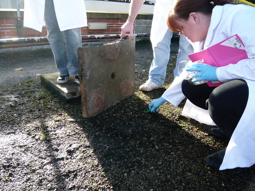 mark_benecke_huddersfield_university_forensic_entomology_trainings - 599.jpeg