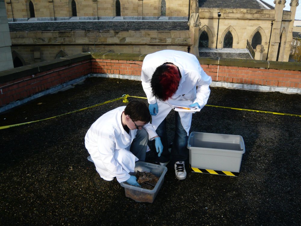 mark_benecke_huddersfield_university_forensic_entomology_trainings - 603.jpeg