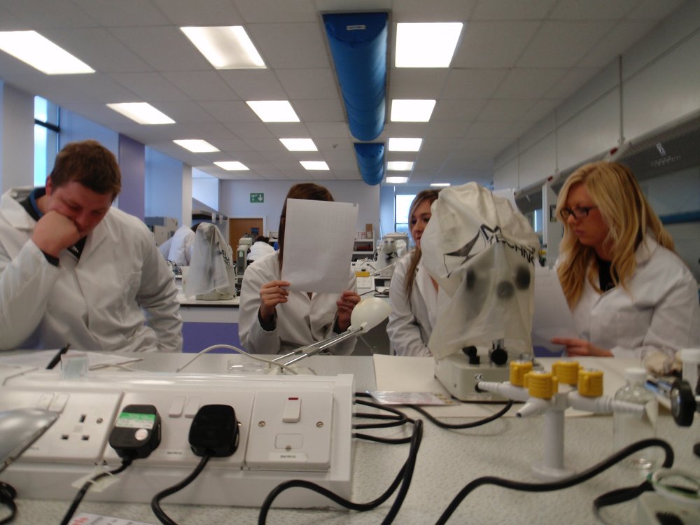 mark_benecke_huddersfield_university_forensic_entomology_trainings - 653.jpeg