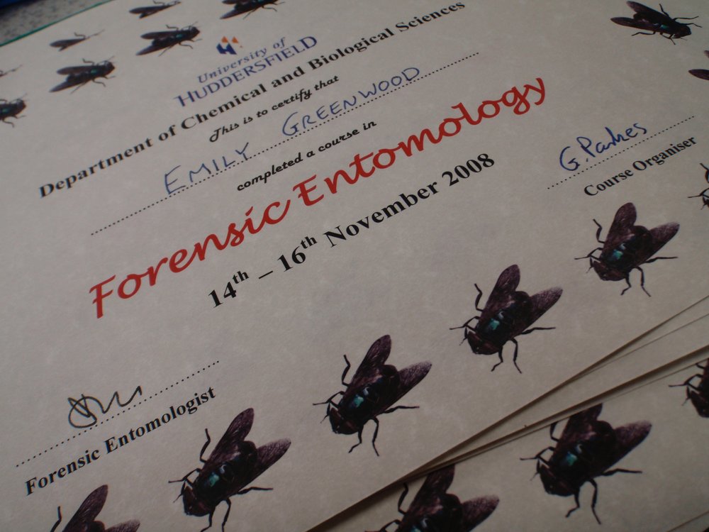 mark_benecke_huddersfield_university_forensic_entomology_trainings - 659.jpeg