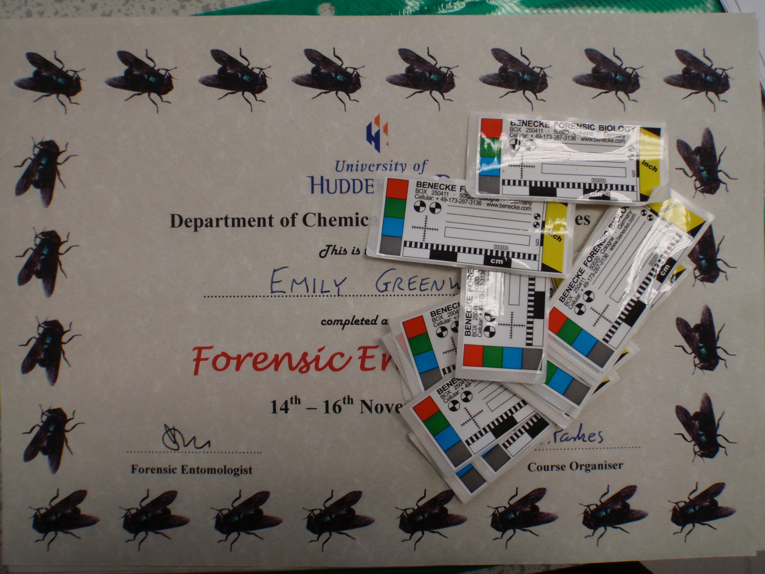 mark_benecke_huddersfield_university_forensic_entomology_trainings - 662.jpeg