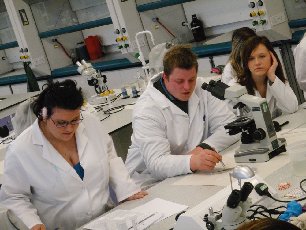 mark_benecke_huddersfield_university_forensic_entomology_trainings - 678.jpeg