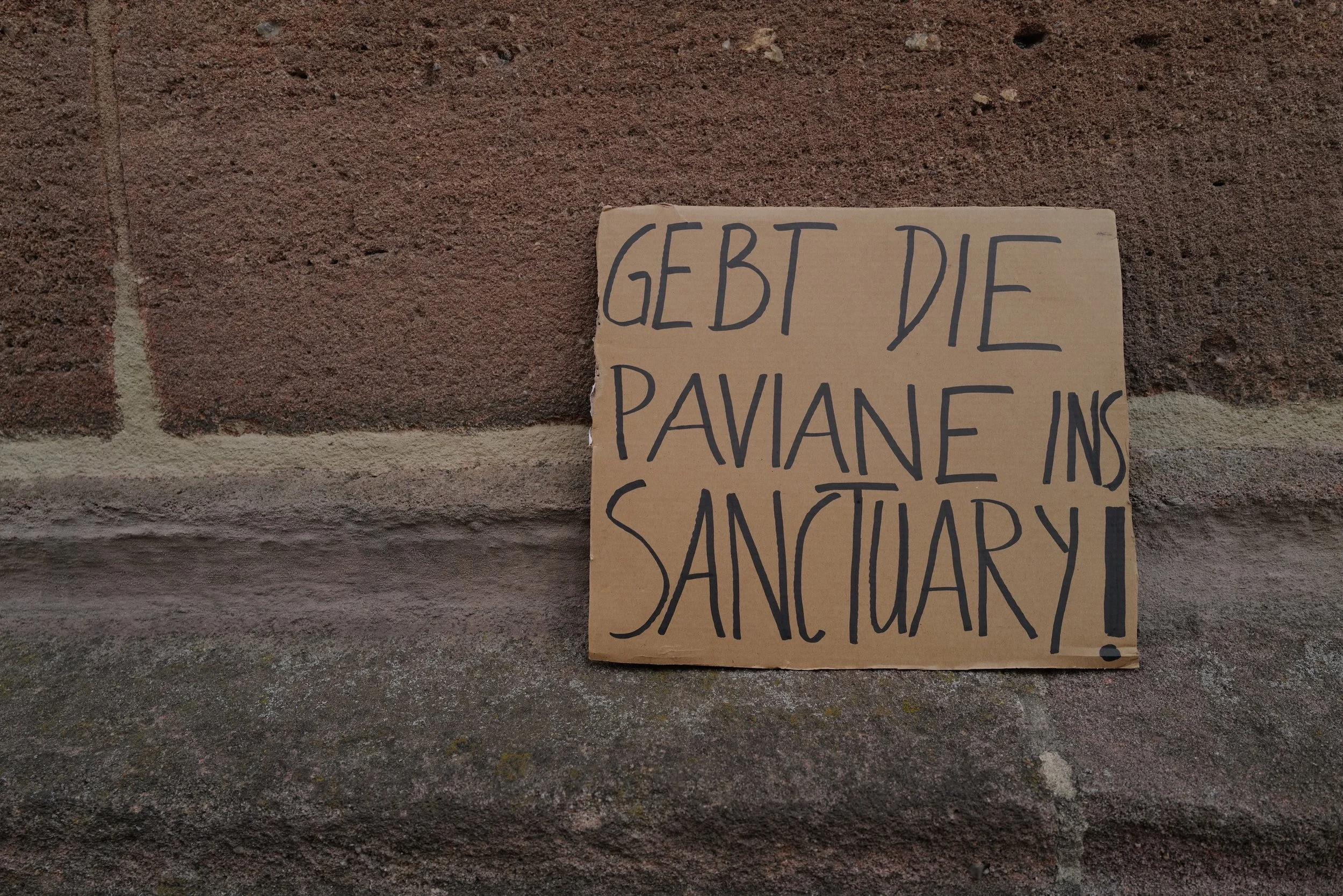 mark_benecke_affen_nuernberg_erschiessung_demo_animal_rebellion_vegan_vernetzt_colin_goldner - 10.jpeg