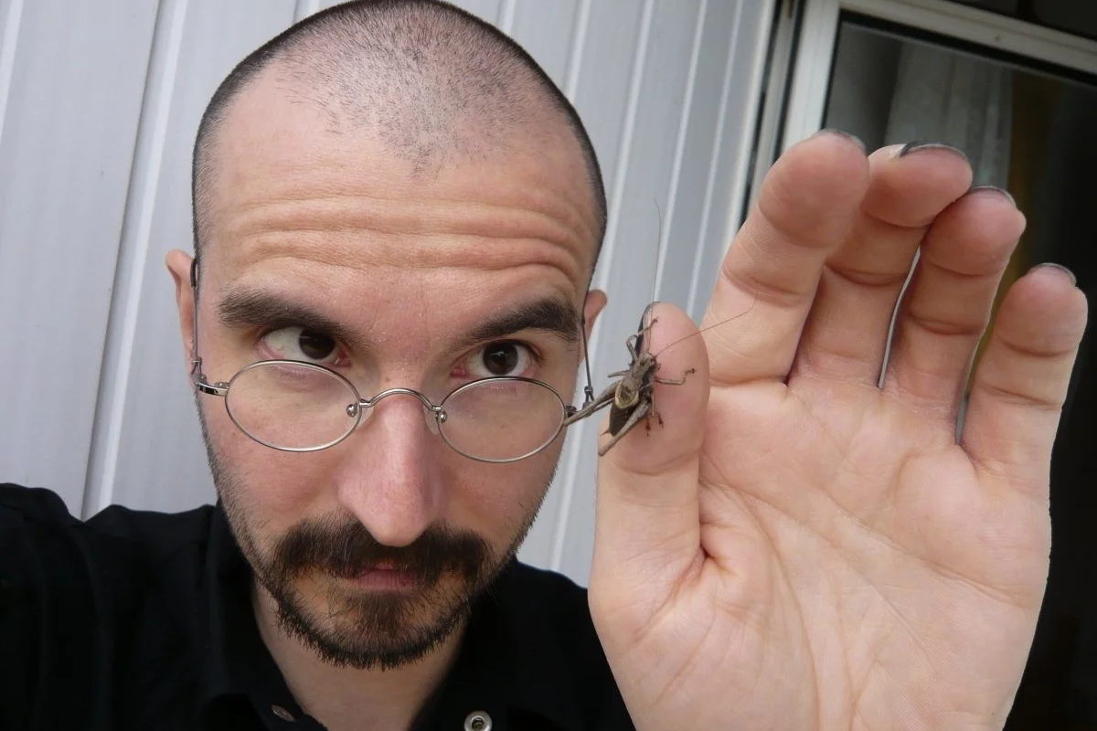 Der Herr der Fliegen