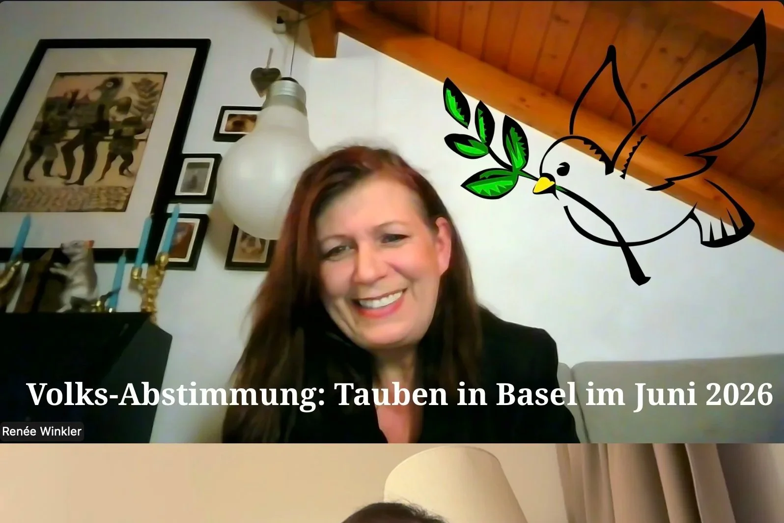 Volks-Abstimmung: Tauben-Häuser in Basel (2026)