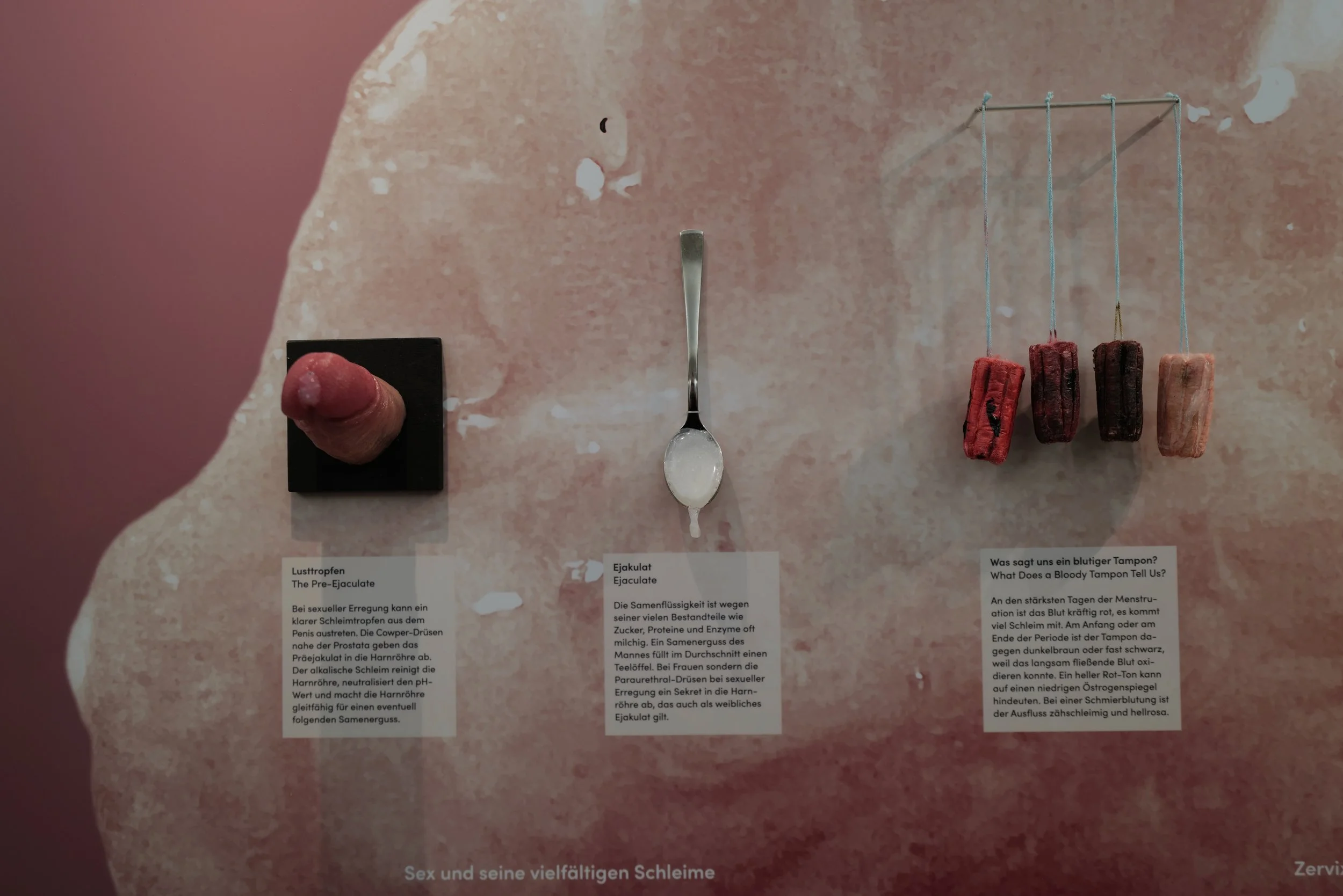 mark_benecke_charite_medizinhistorisches_museum_berlin_schleim_ausstellung - 15.jpeg