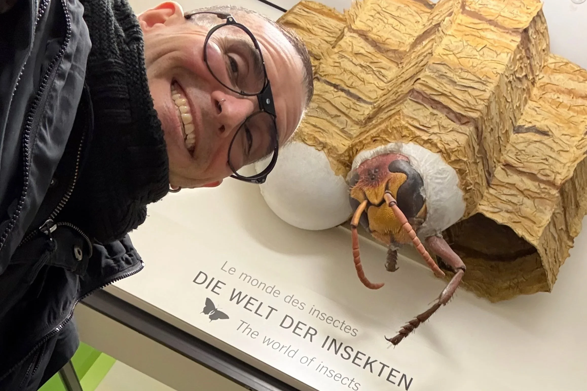 Naturkunde-Museum Karlsruhe: Insekten auf Leichen