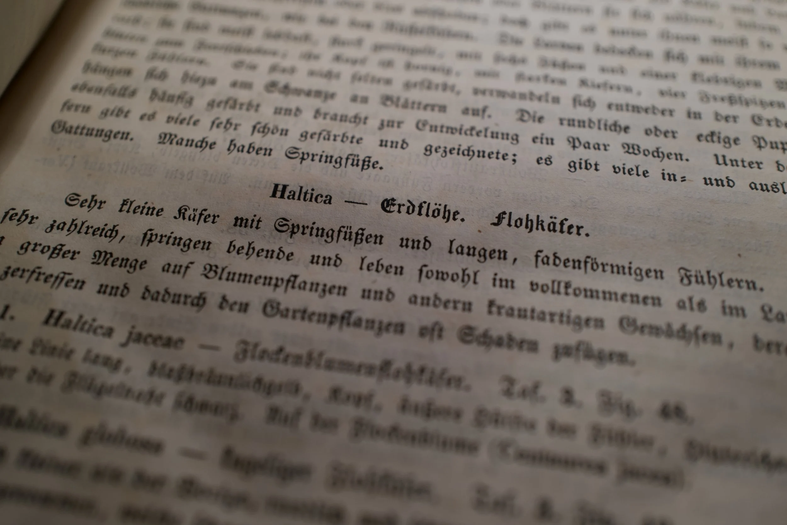 mark_benecke_fall_weinsberg_true_crime_historisches_stadtarchiv_koeln - 24.jpeg