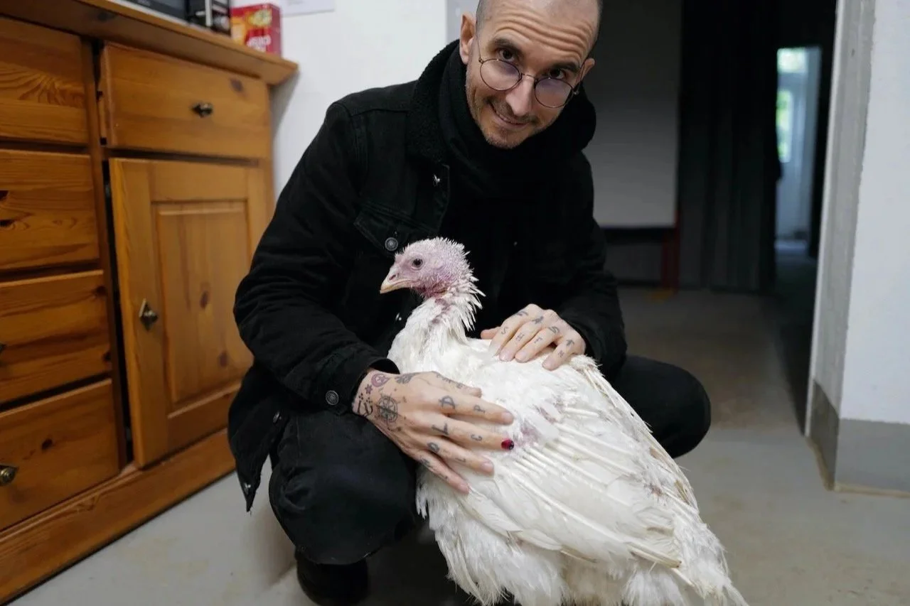 Das Vegane Zeitalter. Wenn Mitgefühl erwachsen wird. Eine ethische Ansage. 