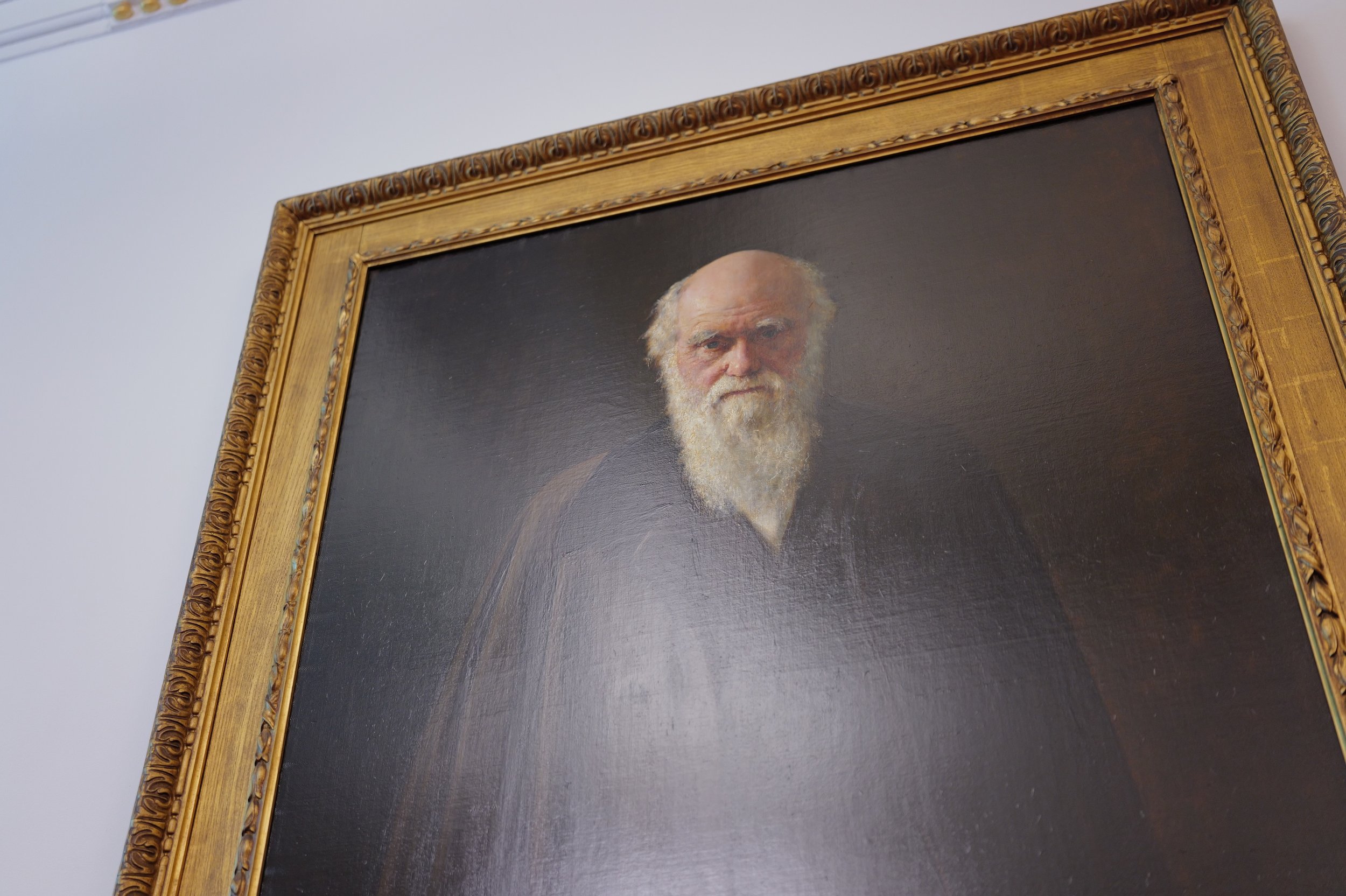 5 linnean_society_mark_benecke_darwin_earthworms_book_restoration - 2.jpeg