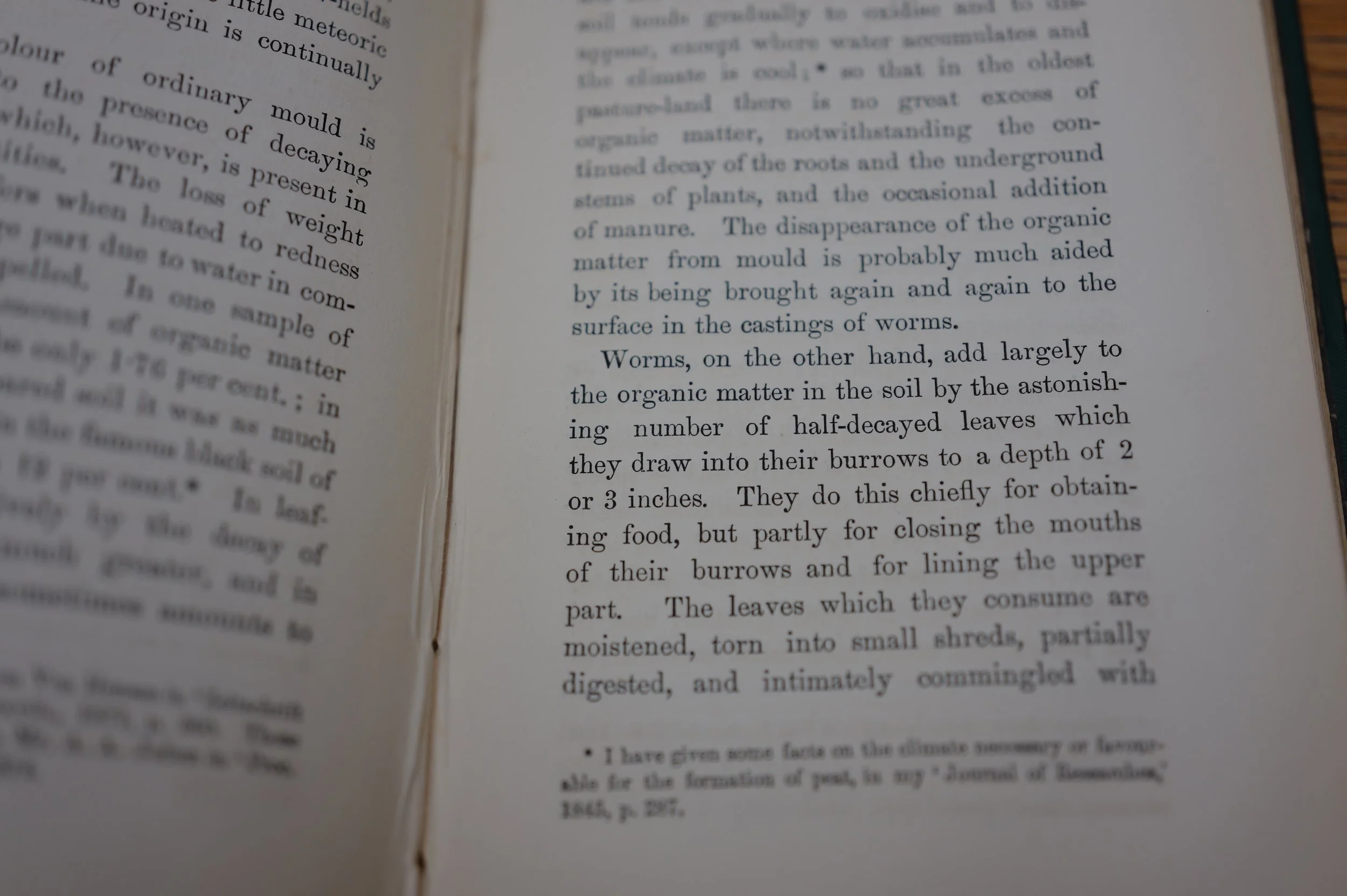 23 vlinnean_society_mark_benecke_darwin_earthworms_book_restoration - 78.jpeg