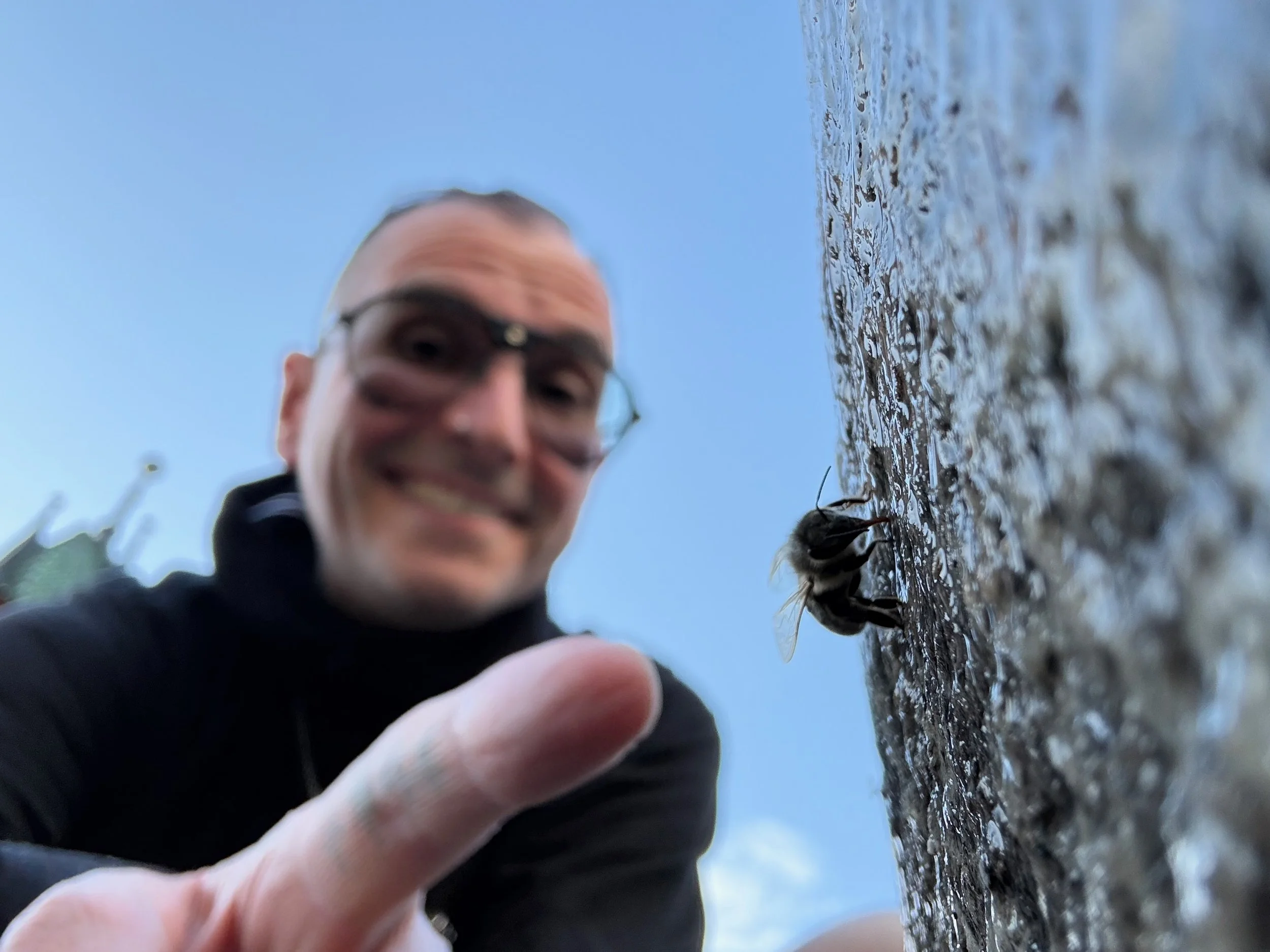 insektencamp_dornbirn_mark_benecke_oesterreichische_entomologische_gesellschaft_vorarlberg - 3.jpeg