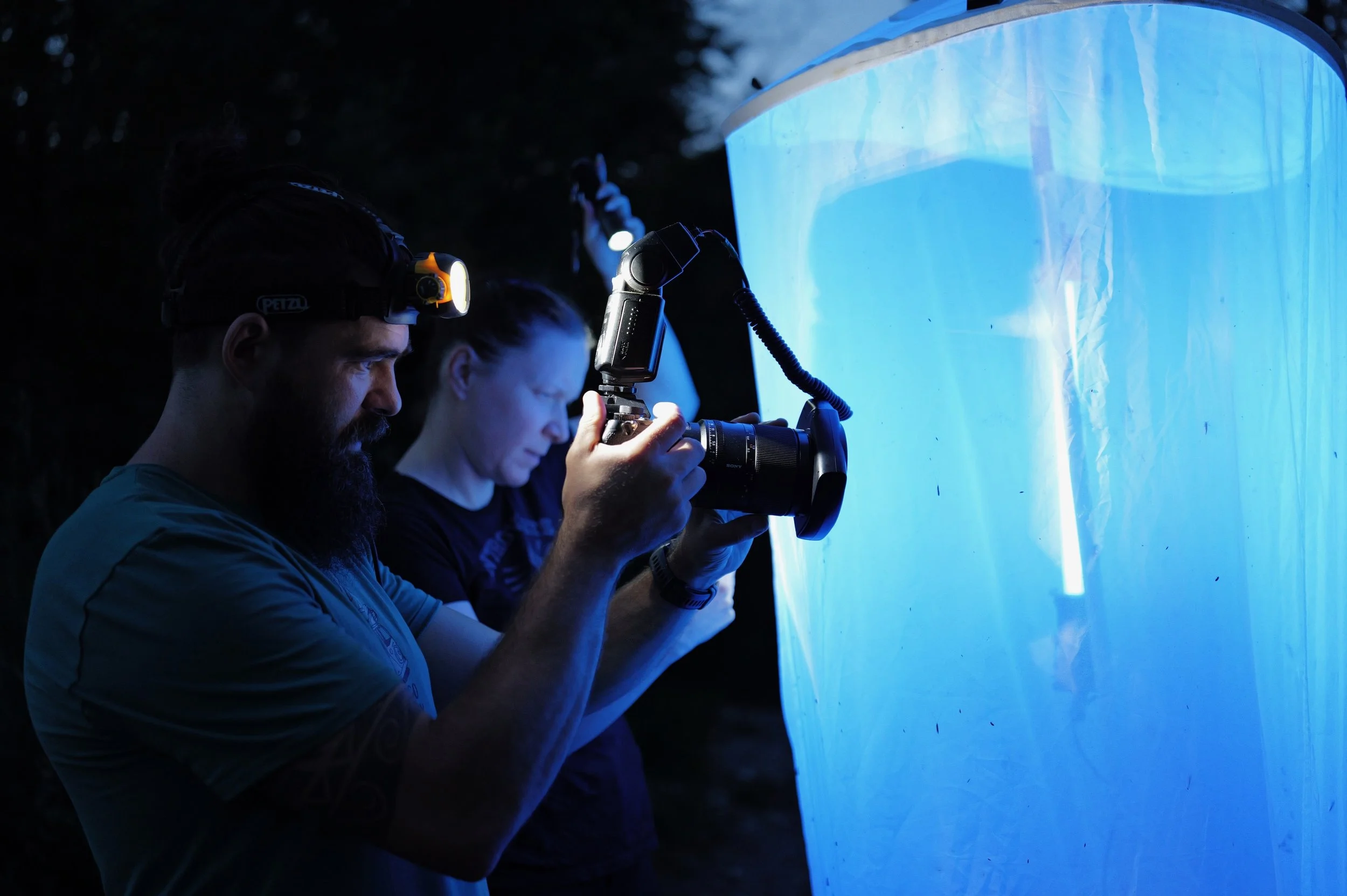 insektencamp_dornbirn_mark_benecke_oesterreichische_entomologische_gesellschaft_vorarlberg_teil_2 - 76.jpeg