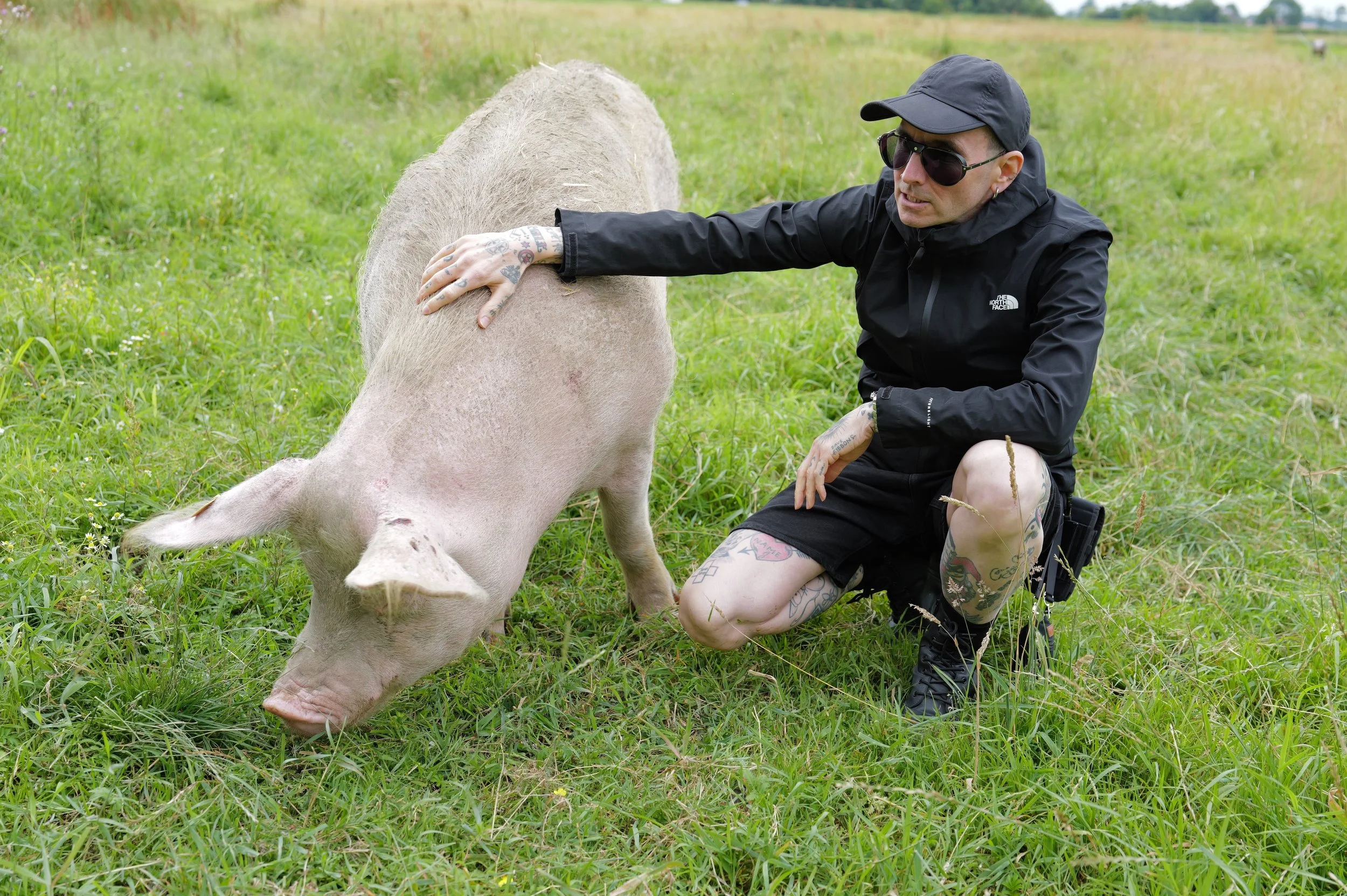 mark_benecke_hof_butenland_lebenshof_tierrettung_schweine_kuehe_pferde - 49.jpeg