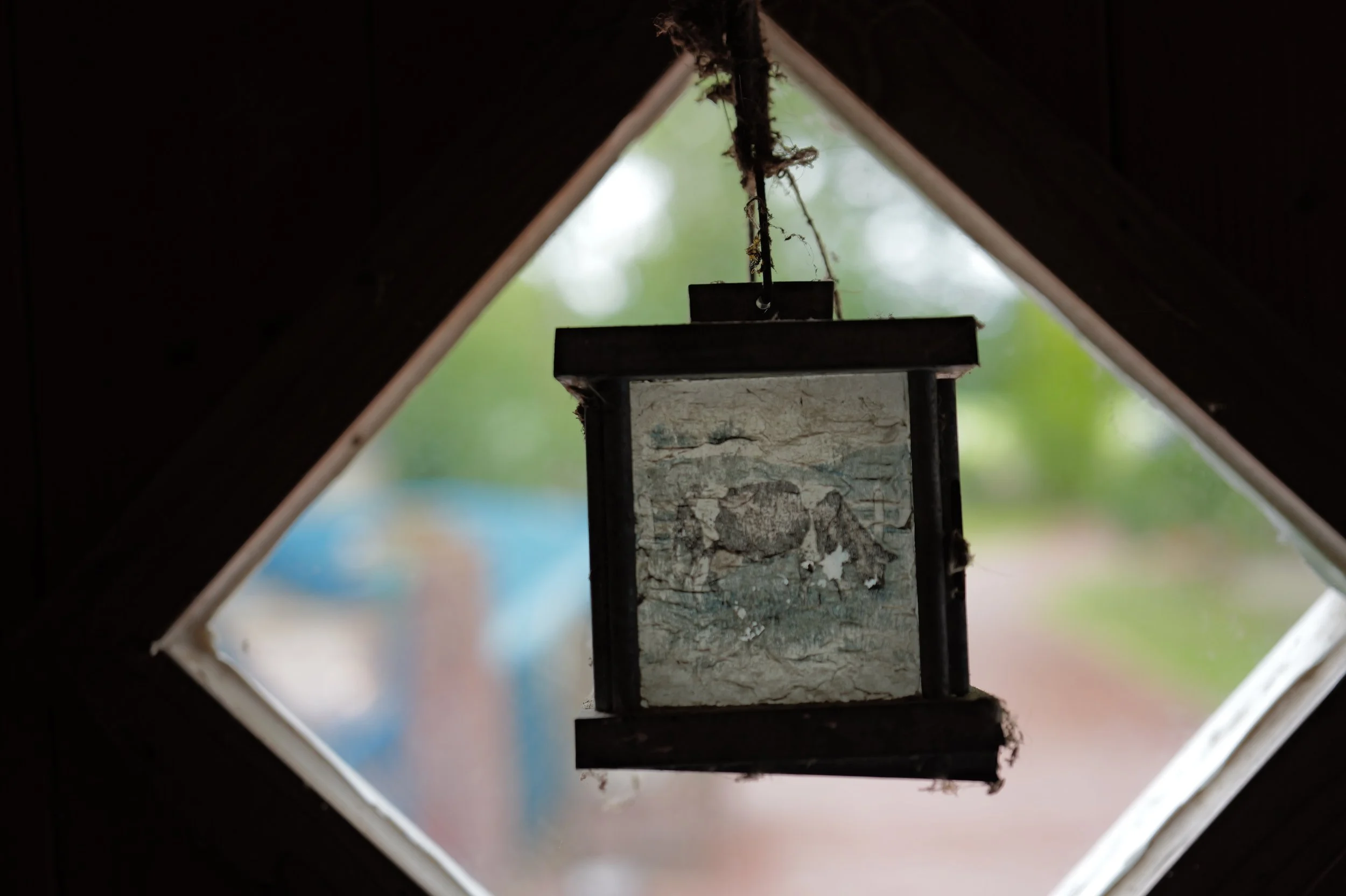 mark_benecke_hof_butenland_lebenshof_tierrettung_schweine_kuehe_pferde - 109.jpeg