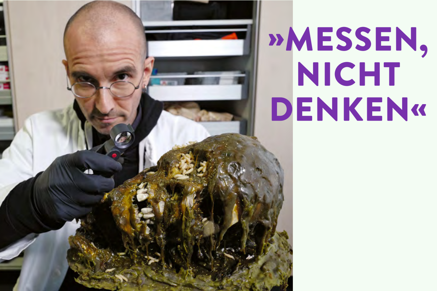 »Messen, nicht denken«