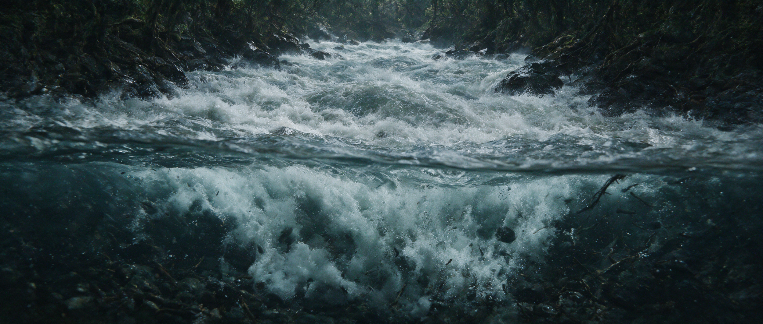 hf_20260827_080459_0a90d8fa-3929-4db4-91e4-2c8aa63e7e7c.png